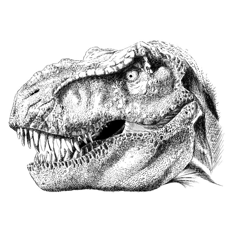 Dinosaur 