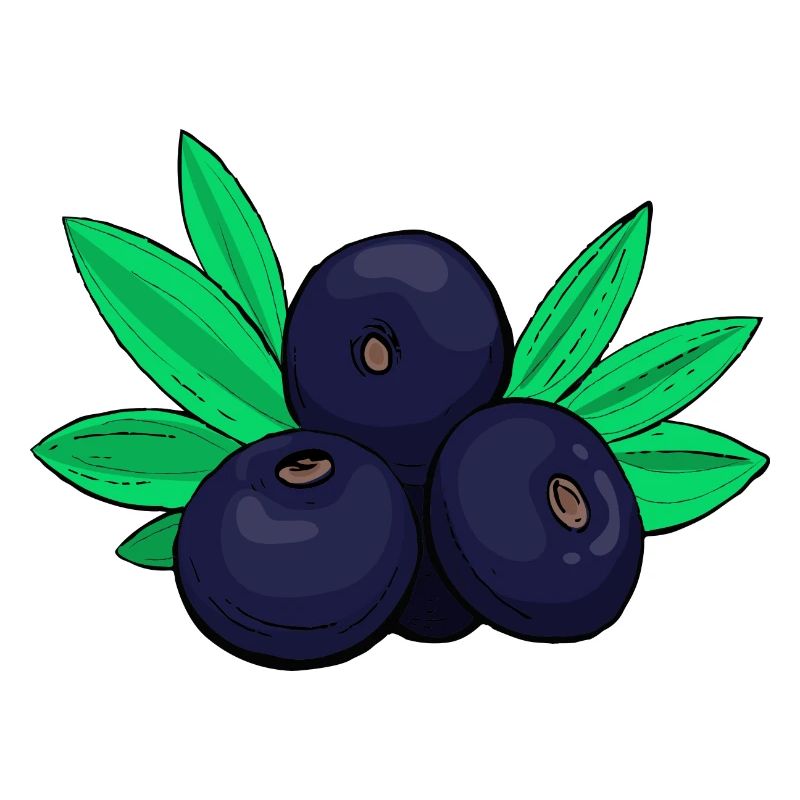 Acai berries Cabbage berry