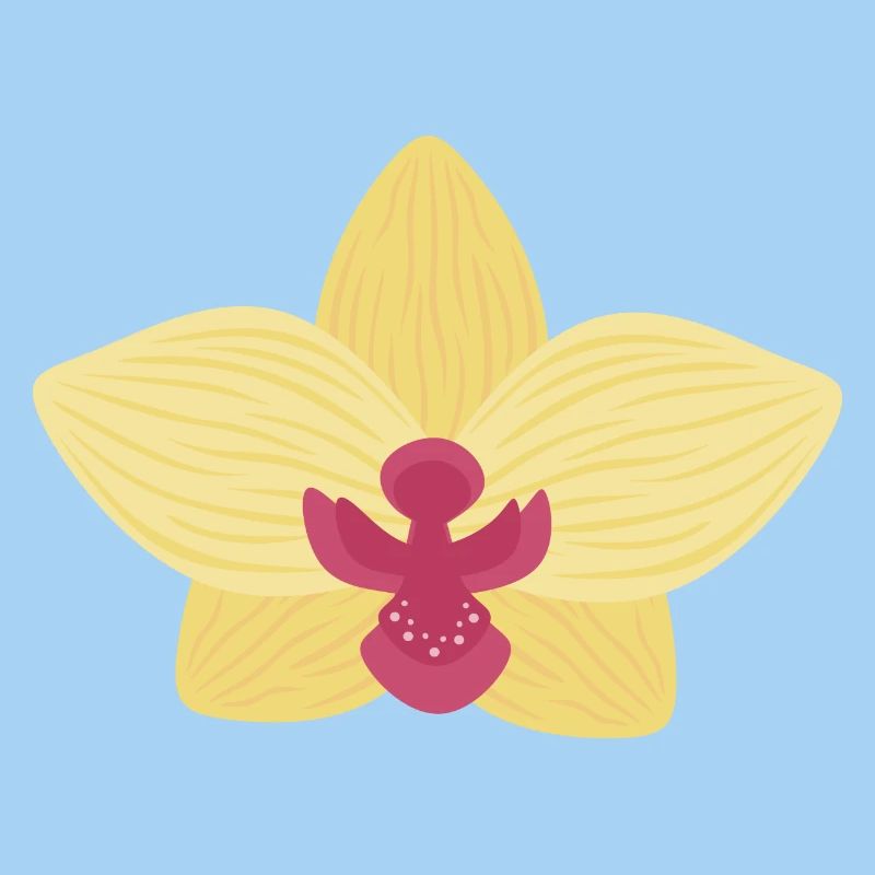 Gelbe Orchidee