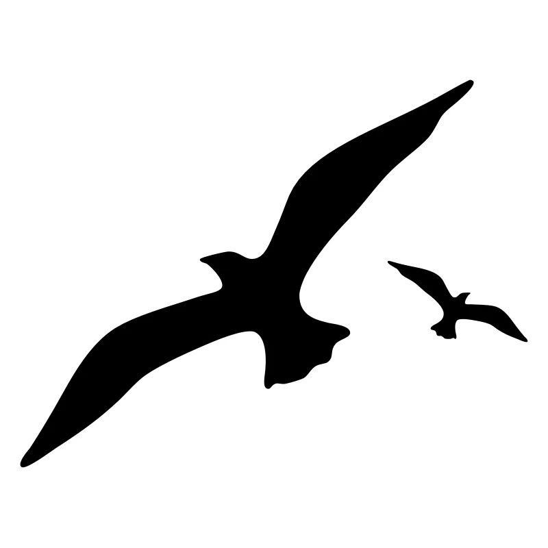 Möwe