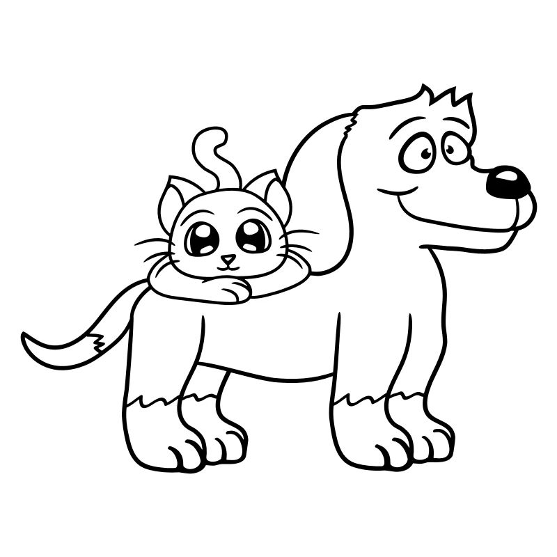 Chien Chat Deux Amis Équipe Chaton 2 Duo Équipage