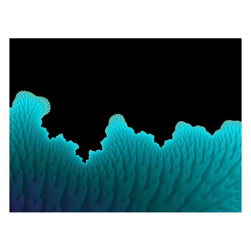 Neon Korallenwand