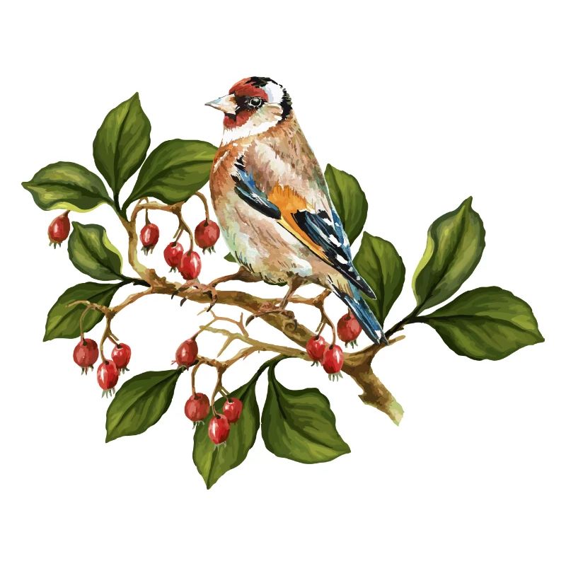 Bunter Vogel