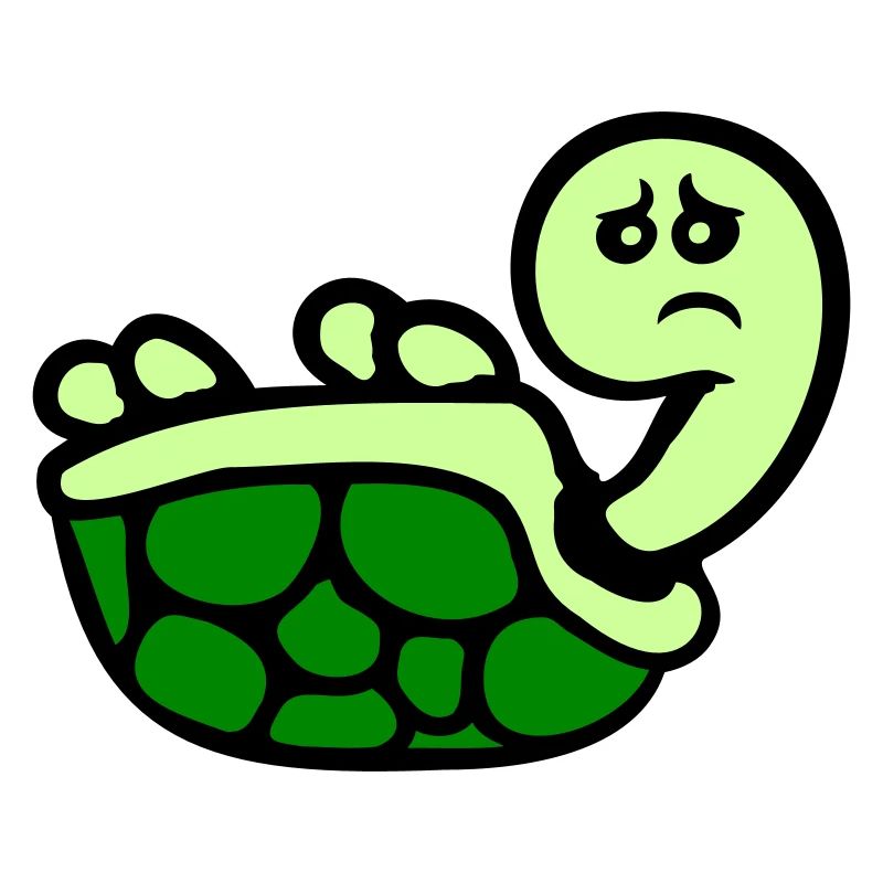 Tortue renversée sur le dos, triste