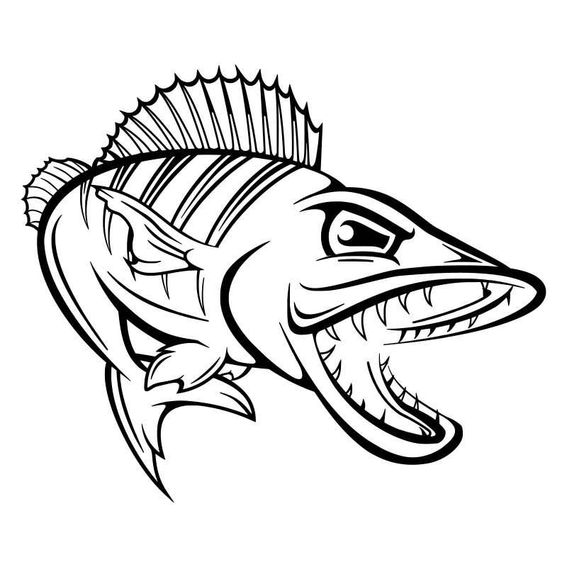 Perch 001