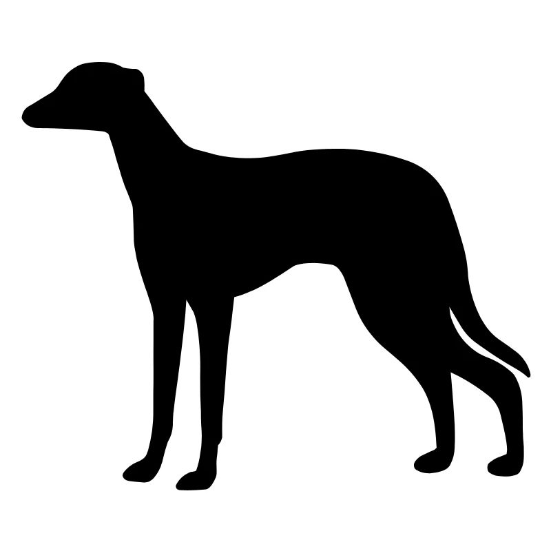Greyhound Dog