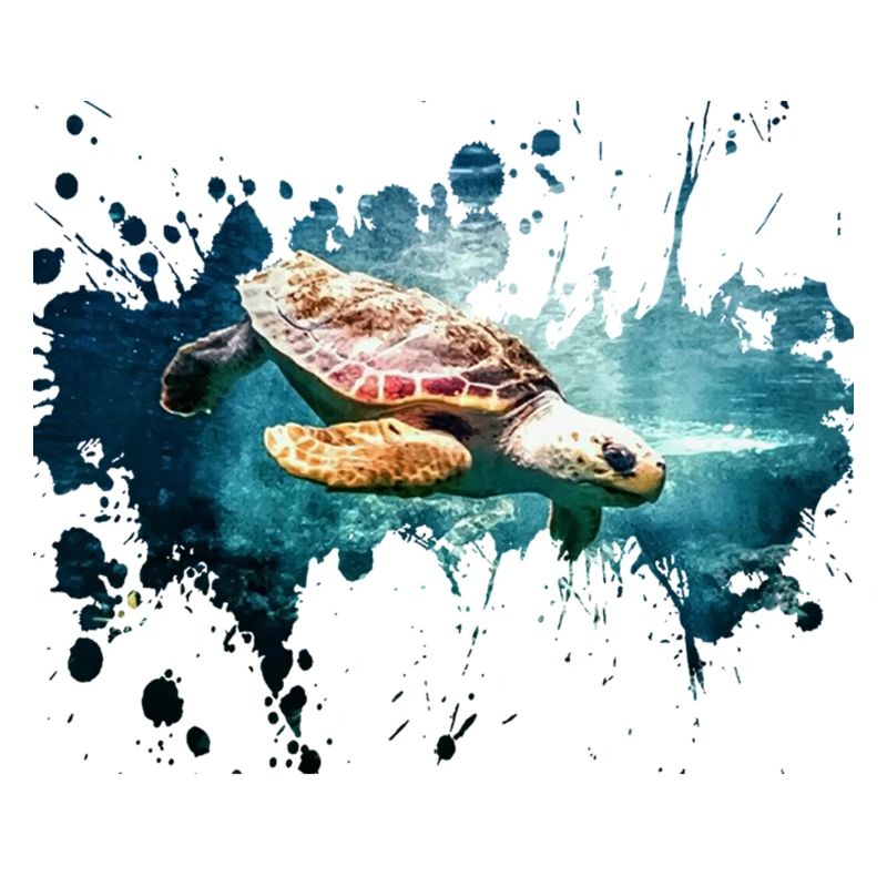 Schildkröte Splash