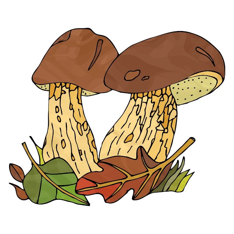 Pilze