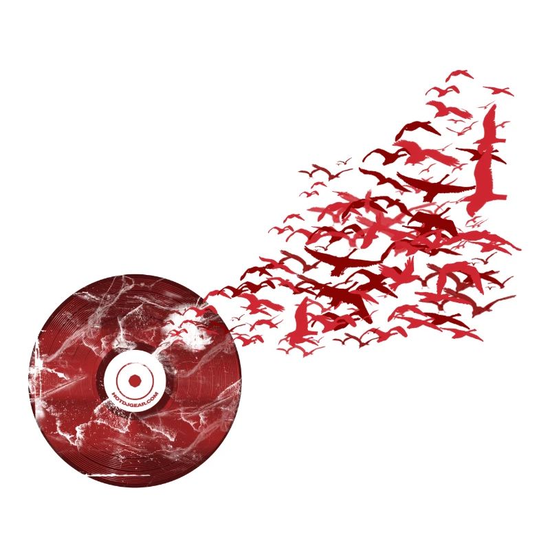 Vinyl Vögel