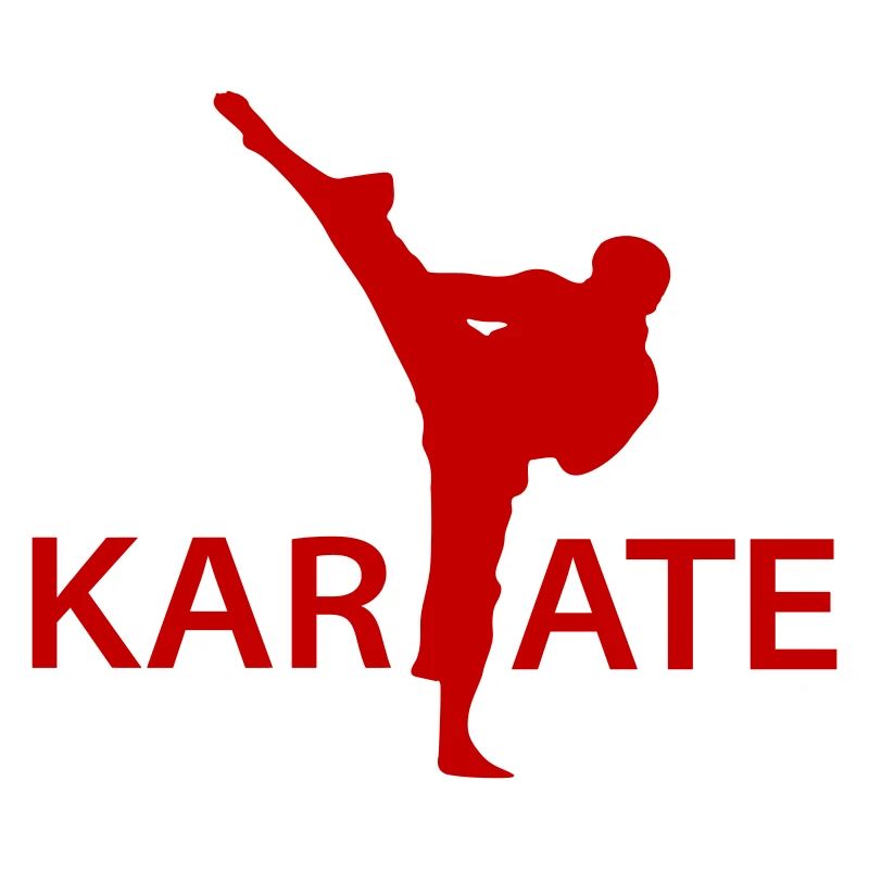  Karate Kick Silhouette