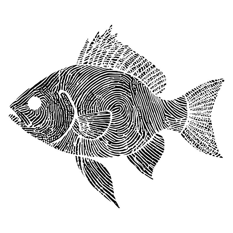 Fishing Fish Artwork Angler