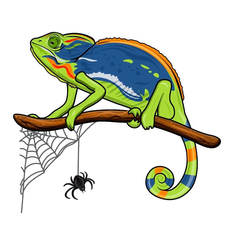 Chameleon On Branch with Spider Web