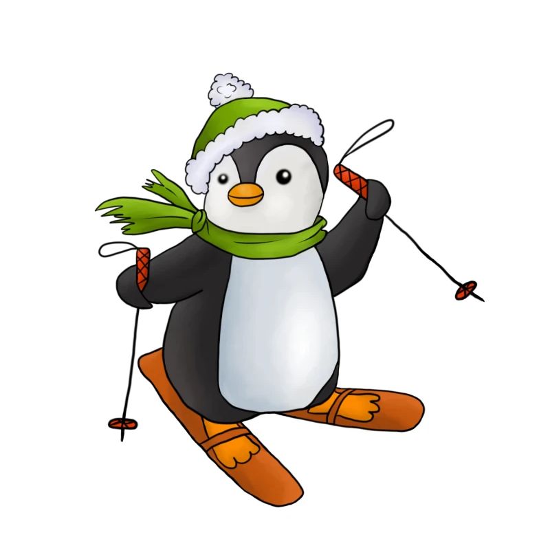 Ski fahren