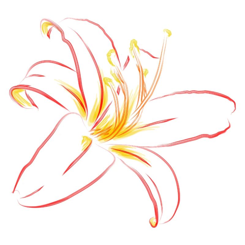 Dessin de lignes de la Fleur de Flamme