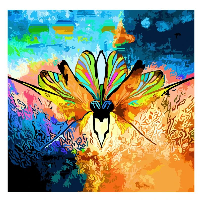 Bunter Falter im Farbmeer