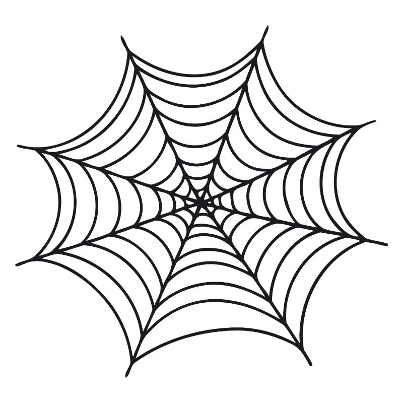 Black Minimalist Spider Web