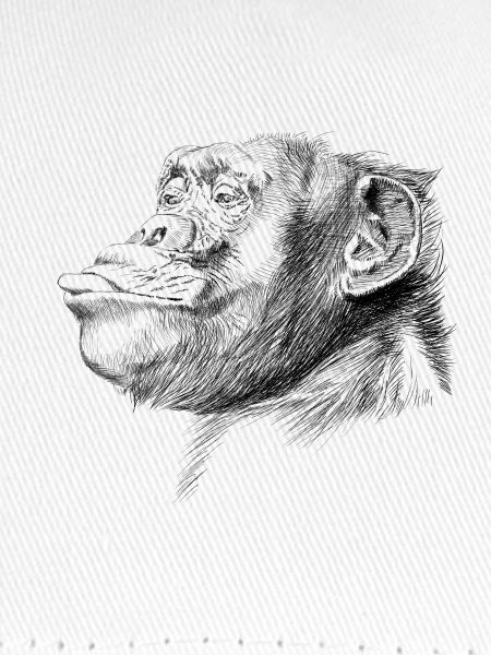 Affe