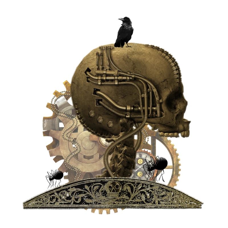 Superbe crâne technique horrible