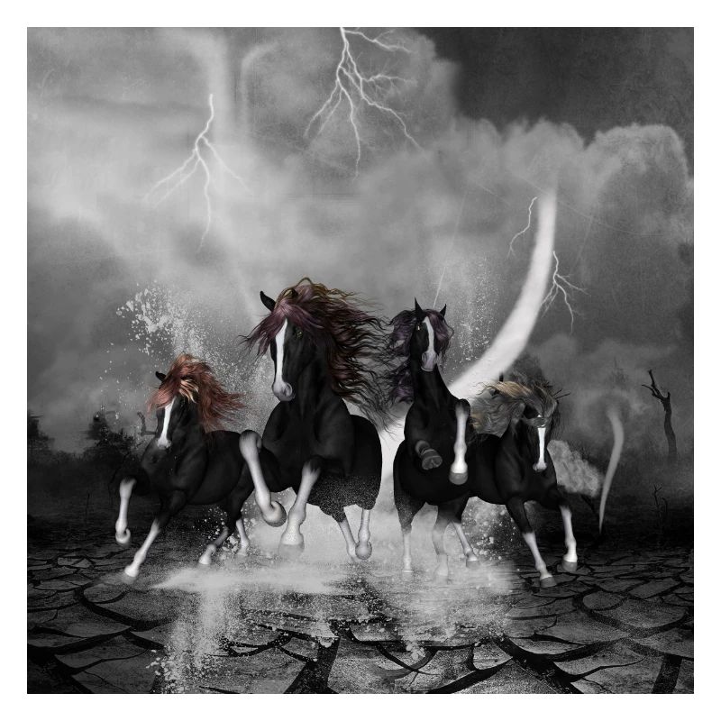 Wunderbare schwarze Pferde