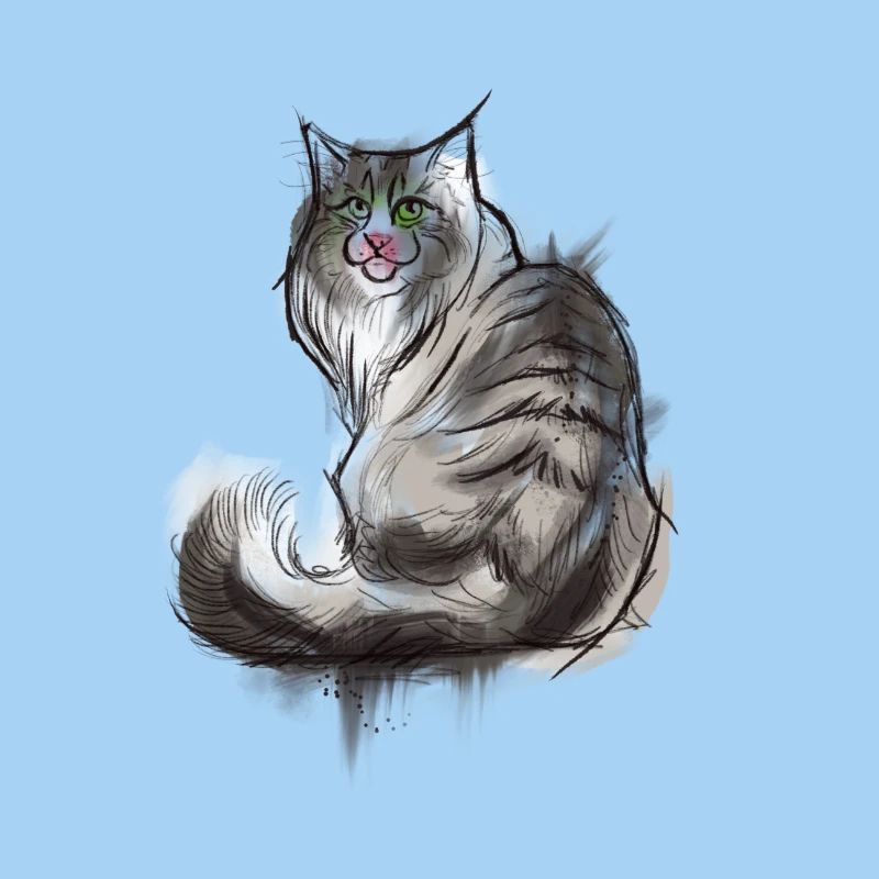 Norwegian Forest Cat
