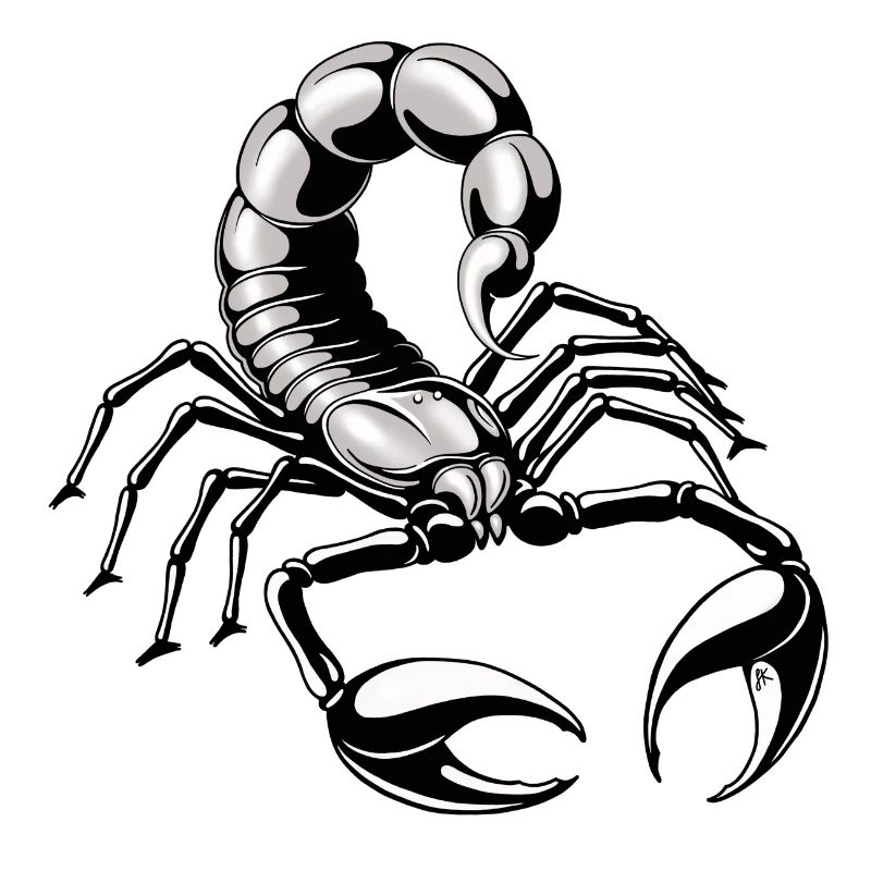 Skorpion - silber - grau