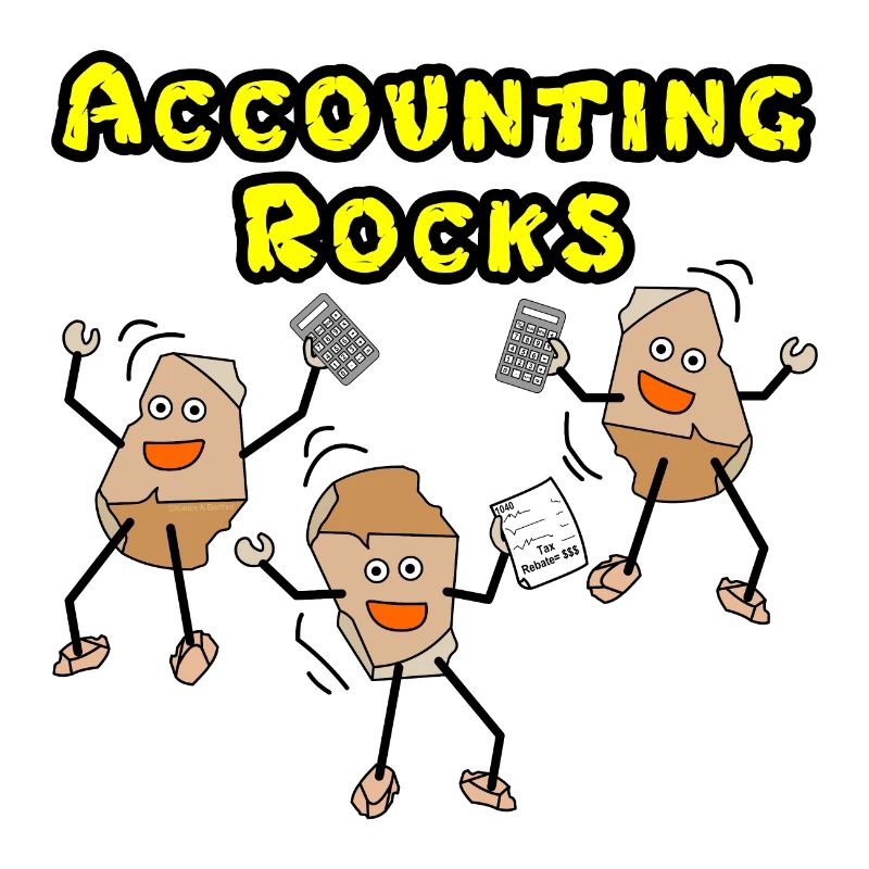 Accounting Rocks