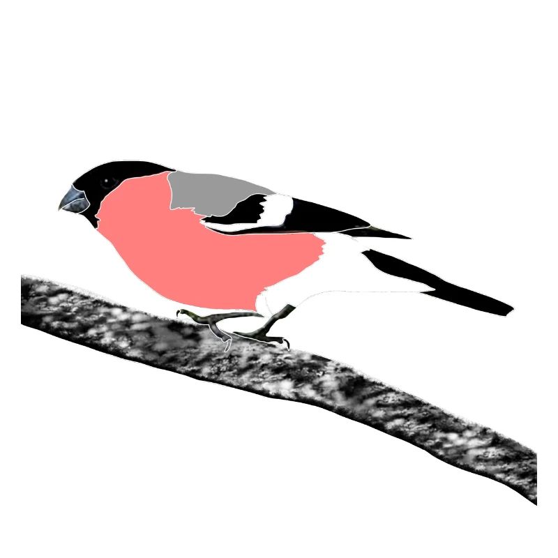 Gimpel