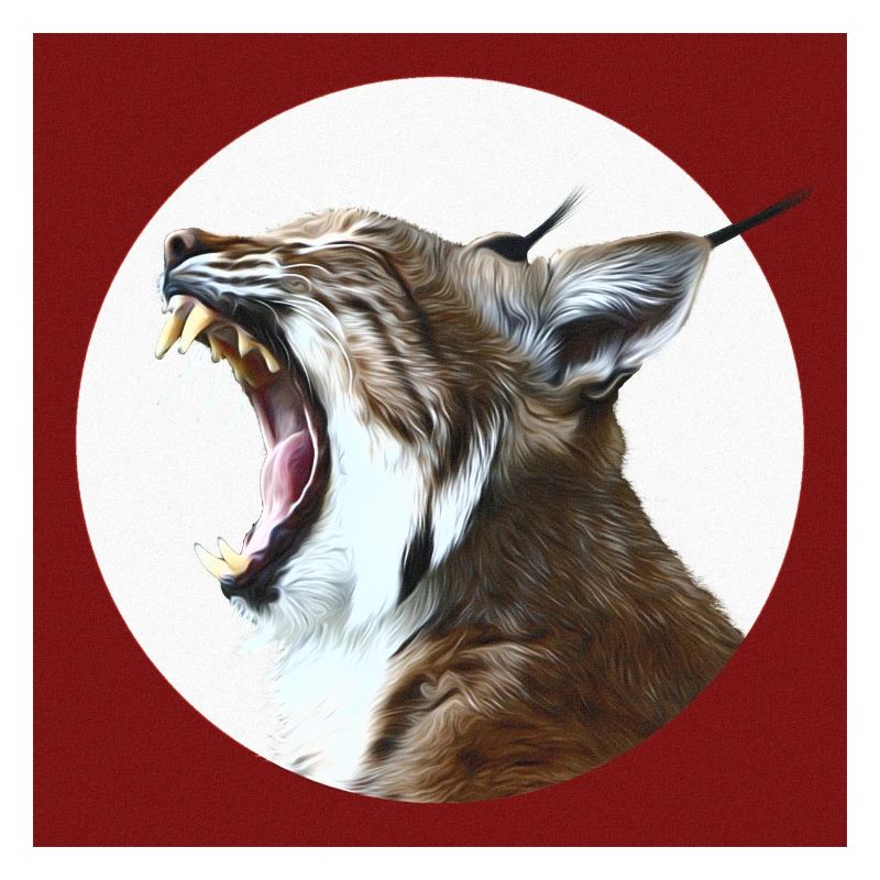 Luchs Wildkatzen Freiheit