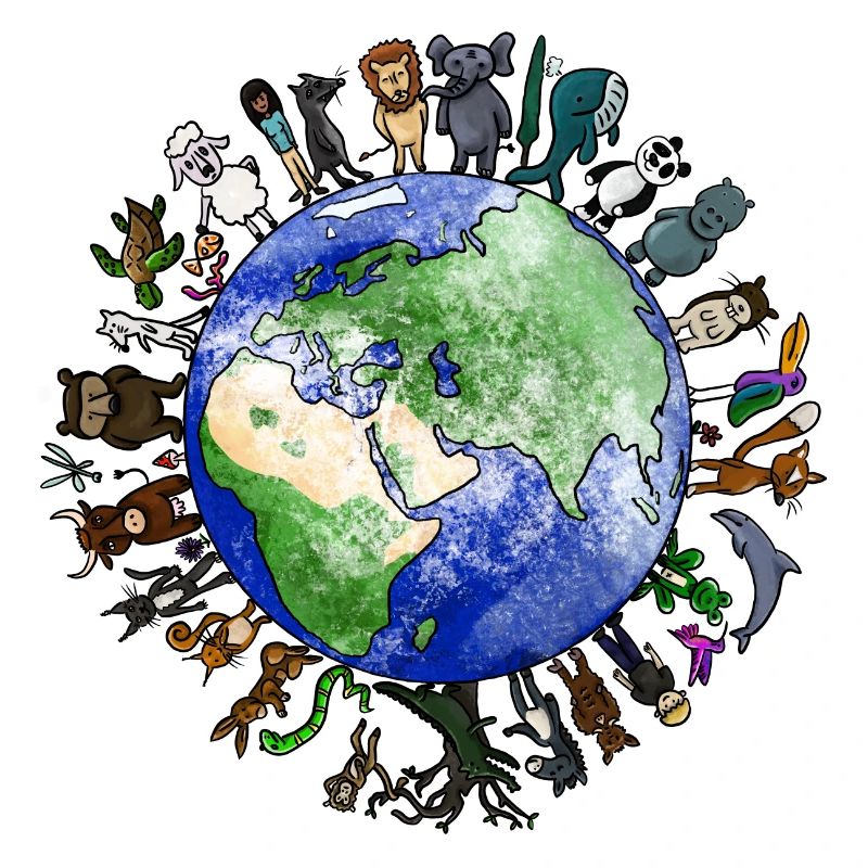Lebendiger Planet - Biodiversität
