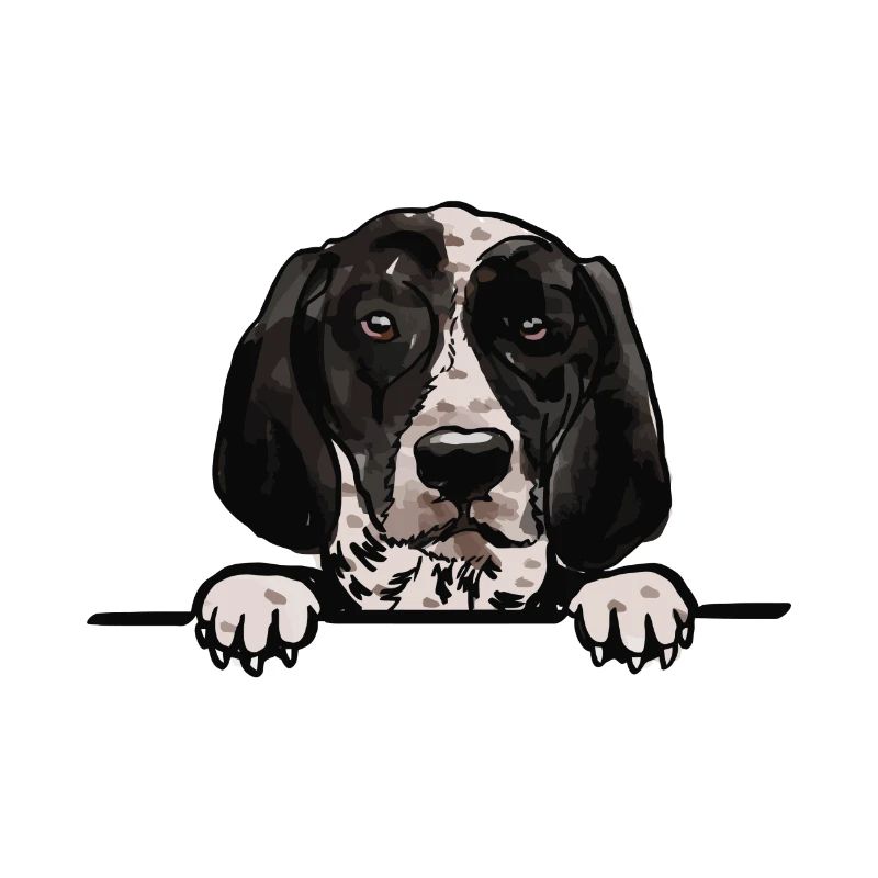 Auvergne Pointer Dog for Peeking Dog Lovers