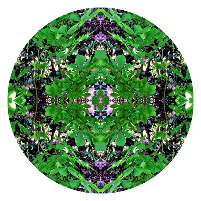 Nature Mandala Spring in Dennenlohe