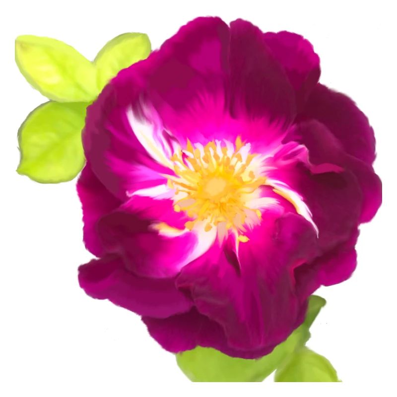 Purple Rose - Gemälde