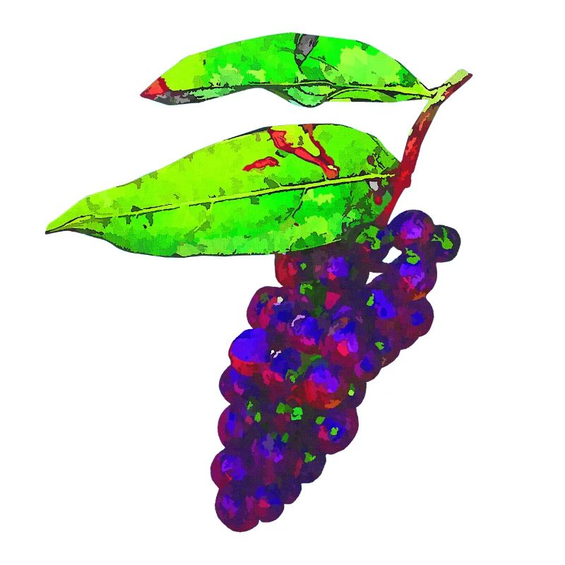 Beeren, Blätter, küchenmotive