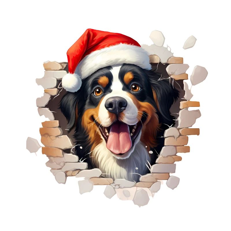 Bernese Mountain Dog with Santa Hat