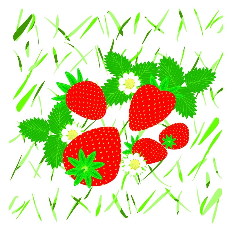 Strawberries in different sizes