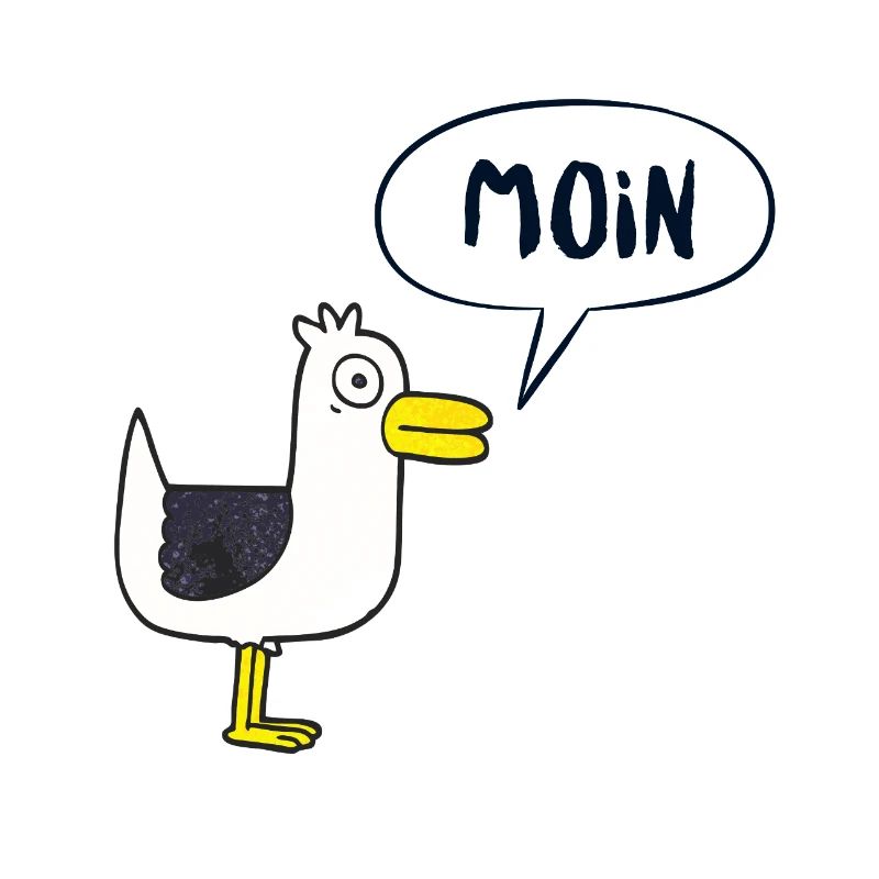 MOIN