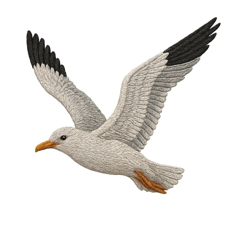 Seagull