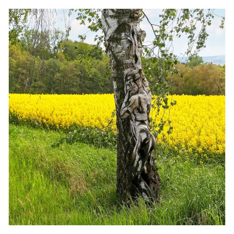 NatureArt Rapeseed Birches