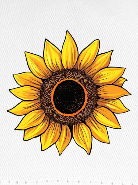 sonnenblume