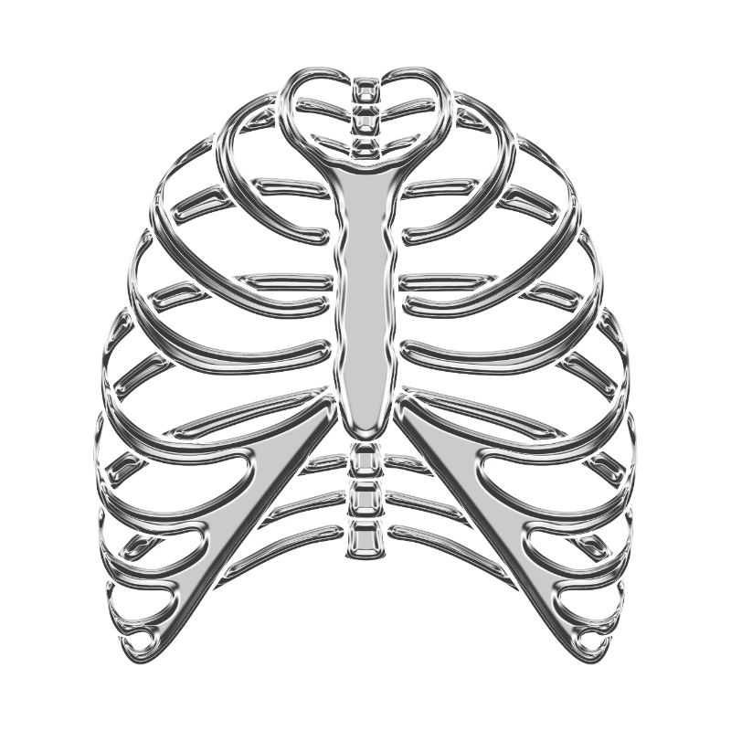 Chromrippen / Skelettrippen