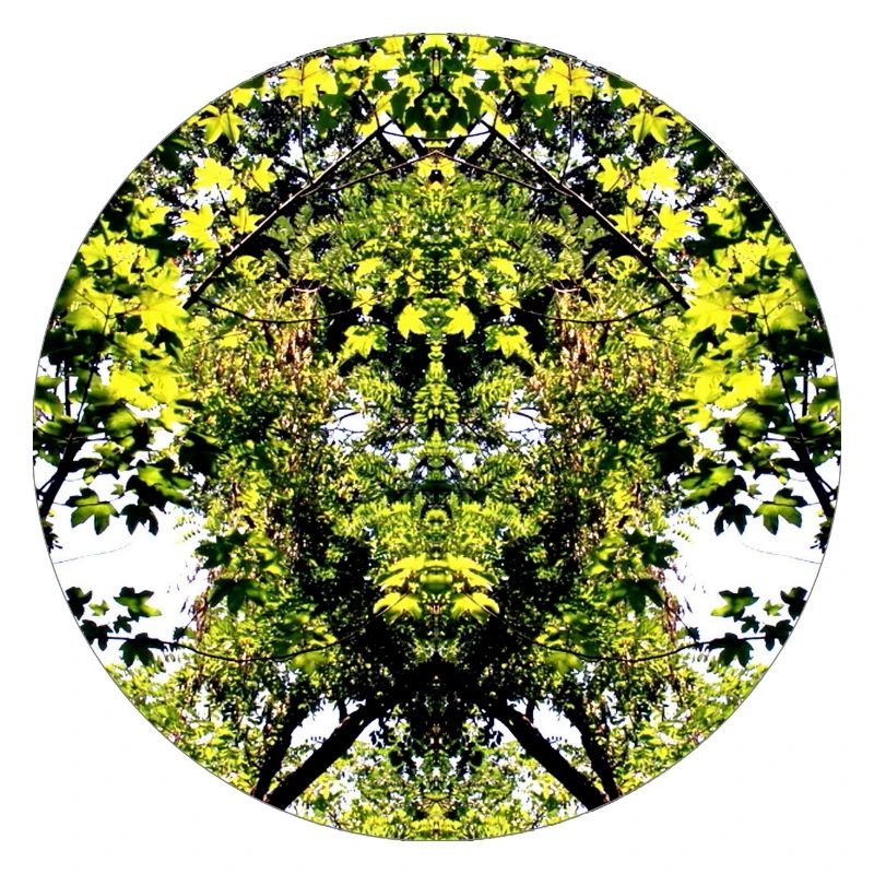 Tree Nature Creature