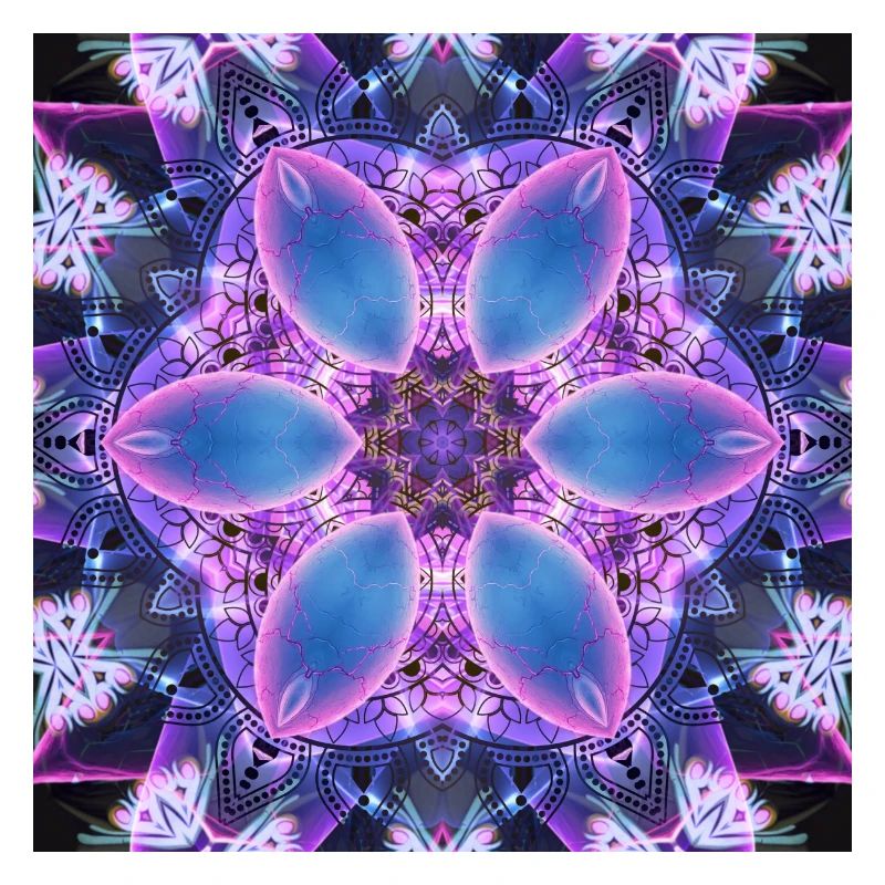 Neon-Lotus Kaleidoskop