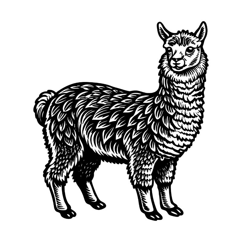 Alpaka