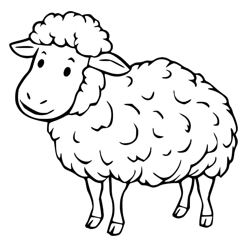 Schaf Schäfchen Lamm