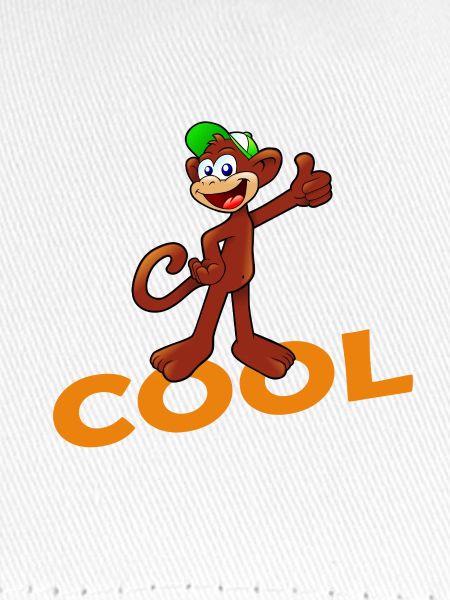 COOL MONKEY