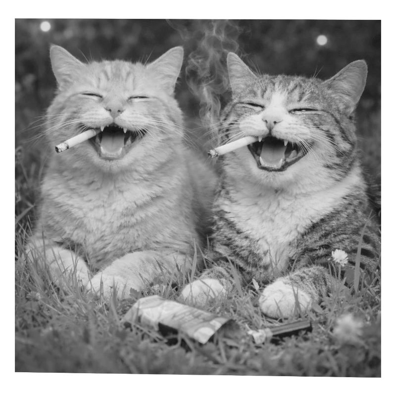Katzen lachen mit Zigaretten