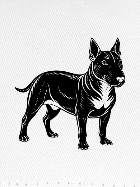 Bullterrier