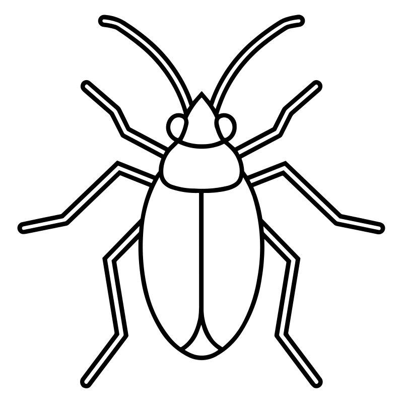 Aphid