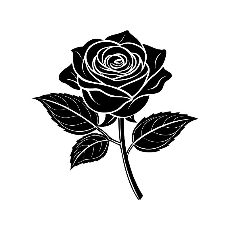 Vollblühende Rose