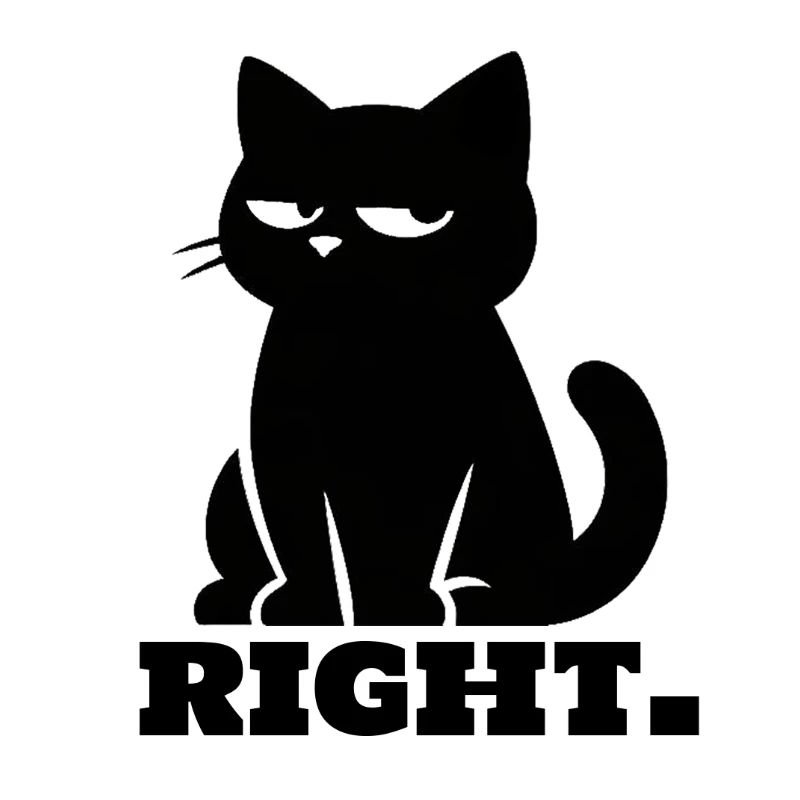 Sarcastic black cat